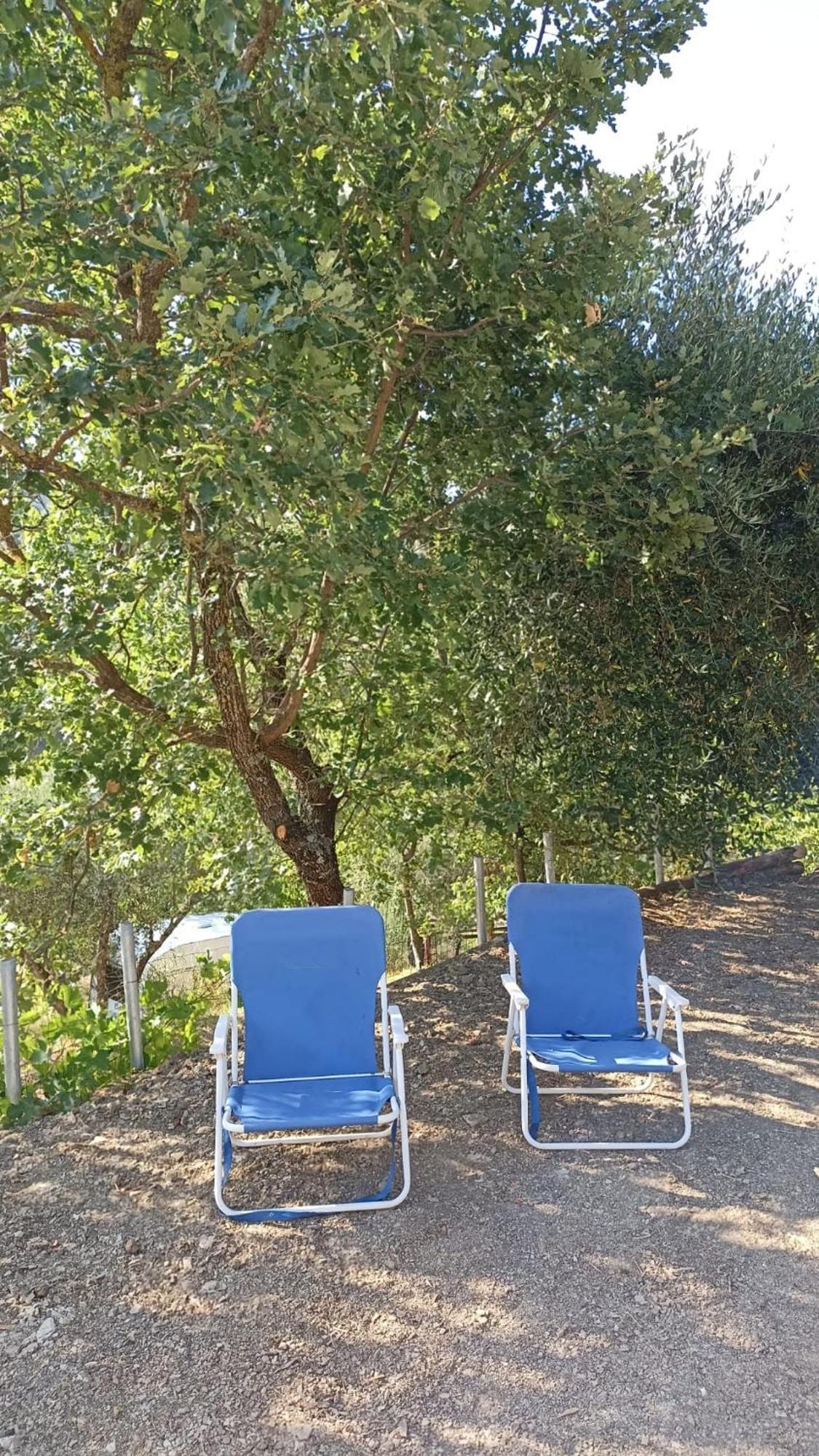 Frühstückspension Lavanda E Rosmarino *