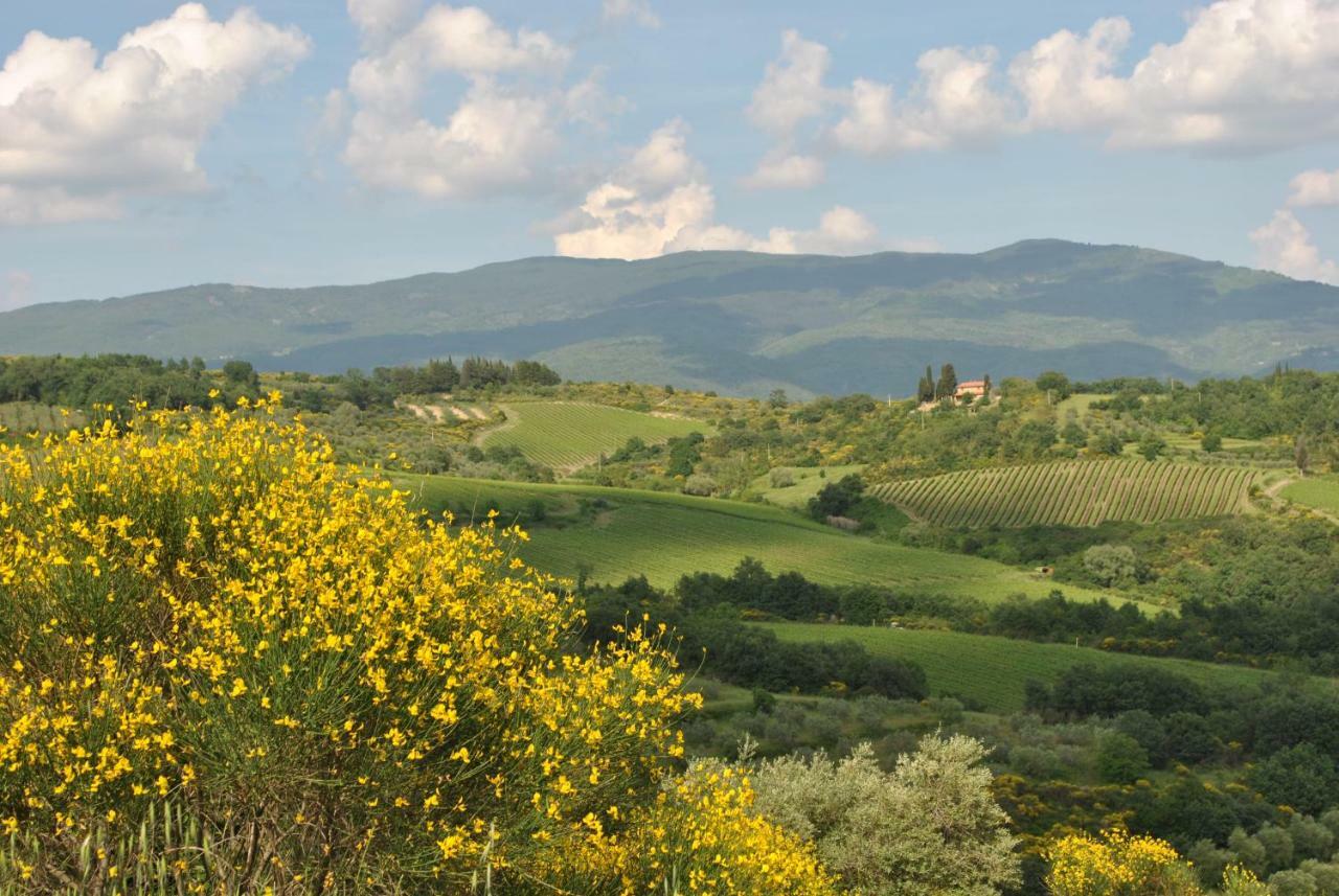 Lavanda E Rosmarino Frühstückspension